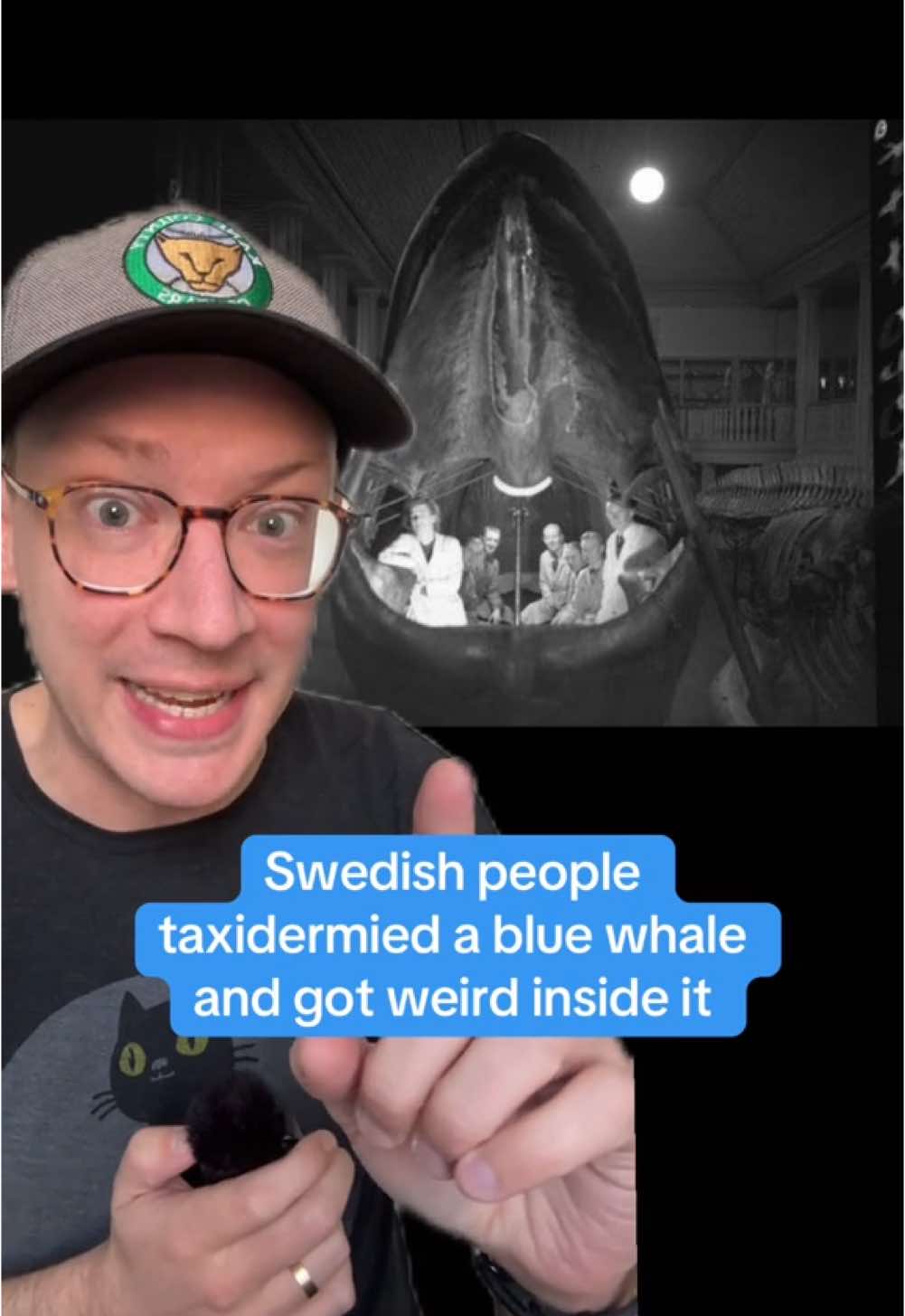 Swedish people taxidermied a blue whale and got weird inside it 🐳 #history #taxidermy #whales #bluewhale #sweden #gothenburg #goteborg #museum @SecretlyIncrediblyFascinating 