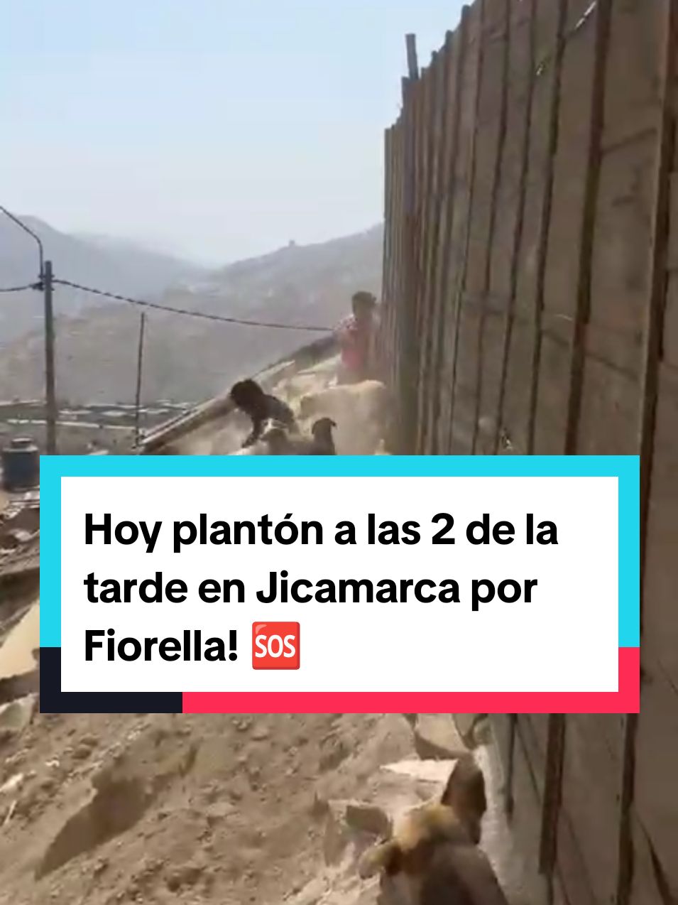 No es justo lo que está pasando Fiorella... Hoy plantón a las 2 de la tarde en Jicamarca 🆘 Pasa la voz!!! @Maiki @Patricia Kriete @Diana OS @Lenin Sabinas @Ley🦋 @Los Callejeritos sin hogar :'3 @Andre @aracelly @Christian Ramirez Sa @ClubFansDelChicoDeLasNoticias @Diana M Guzmán @Dr. Blue @El chico de las noticias @Erika Yara @flopy cats al Rescate @Gatitos Rimac @Jose Galarza @Nerón 🐶 Y Ale 🌺 @Paola @Paola Stagnaro @Patricia Umbert @Pepe Martínez @Union de Animalistas del Peru @Ricardo papu @VictoriaRescata @Yara Animalista @YOziZJ #humanidad #perritos #callejeritos #aguanteperu 