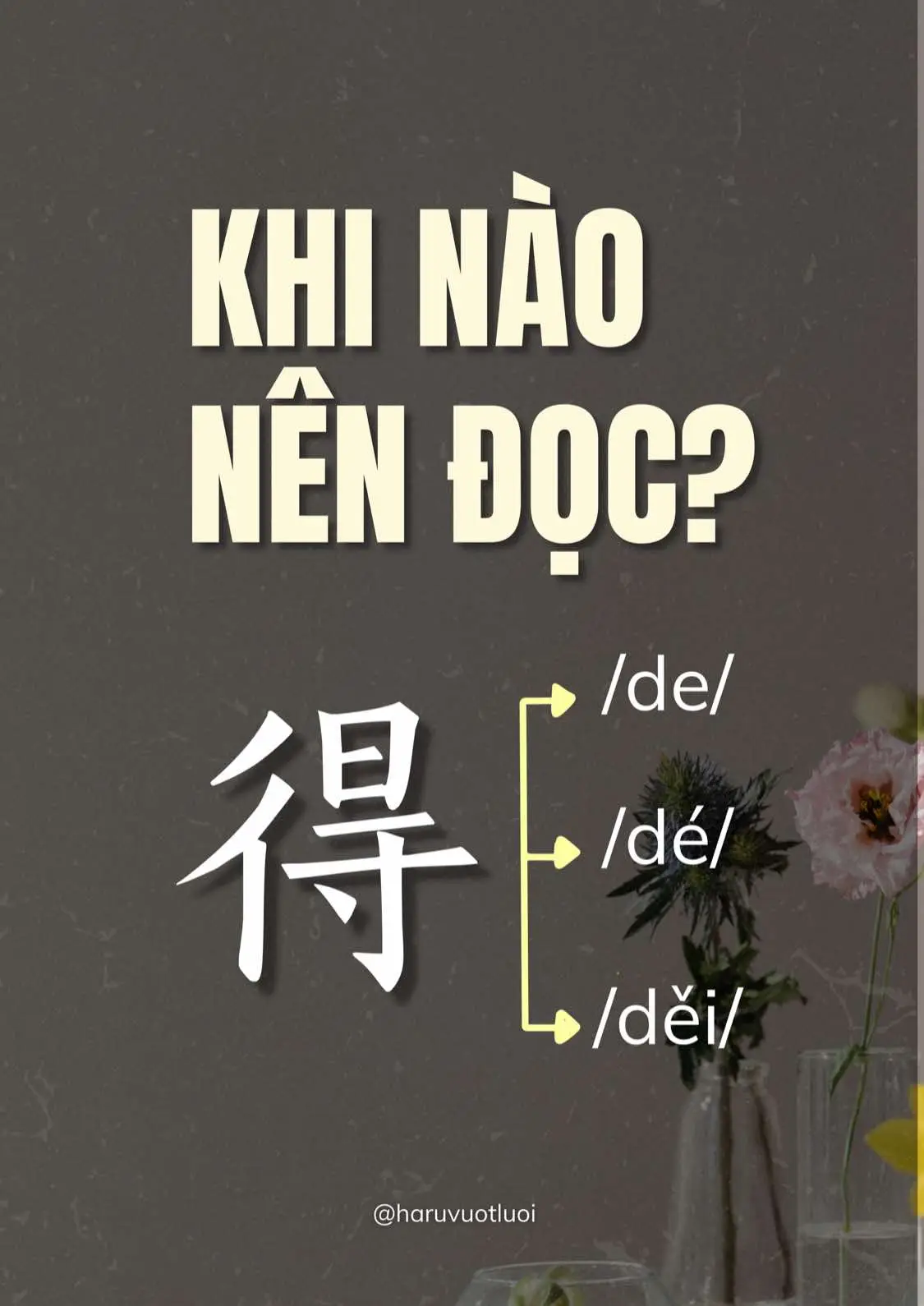 Đó giờ mình chấp niệm đọc là /de/ cho đến hôm vừa rồi nghe 1 chị HSK6 đọc là /dé/ mình mới ngớ người. Vội tìm hiểu xem khi nào thì đọc thế nào? Thật sự chia kỹ hơn sẽ còn nhiều lắm nhưng mình tạm tổng hợp nhiêu đây đơn giản trước! Có gì mọi người góp ý thêm cho mình nha!♥️ cảm ơn mọn người rất nhiều! #haruvuotluoi #hsk #study #language 