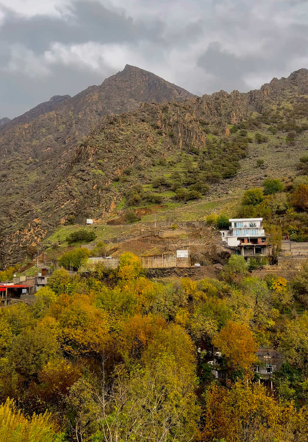 #زەلم #هەورامان #پاییز🍂🍁 #فەرشاد_ئەمینی # #zalm #hawraman #autumn #kurdistan #nature 