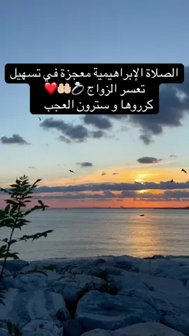 اللهم صل على محمد، وعلى آل محمد، كما صليت على إبراهيم، وعلى آل إبراهيم، إنك حميد مجيد، اللهم بارك على محمد، وعلى آل محمد، كما باركت على إبراهيم، وعلى آل إبراهيم، إنك حميد مجيد. . . #الصلاة_والسلام_عليك_ياحبيبي_يارسول_الله #الصلاة_على_النبى #الصلاة_الابراهيمية #النبي #النبي_محمد_صلى_الله_عليه_و_آله_وسلم #محمد_رسول_الله #محمد_صلى_الله_عليه_وسلم #الاستغفار #استغفرالله #استغفرالله_العظيم_واتوب_اليه #استغفر_الله #تسهيل_الزواج #دعاء_مستجاب #ليلة_الجمعة 