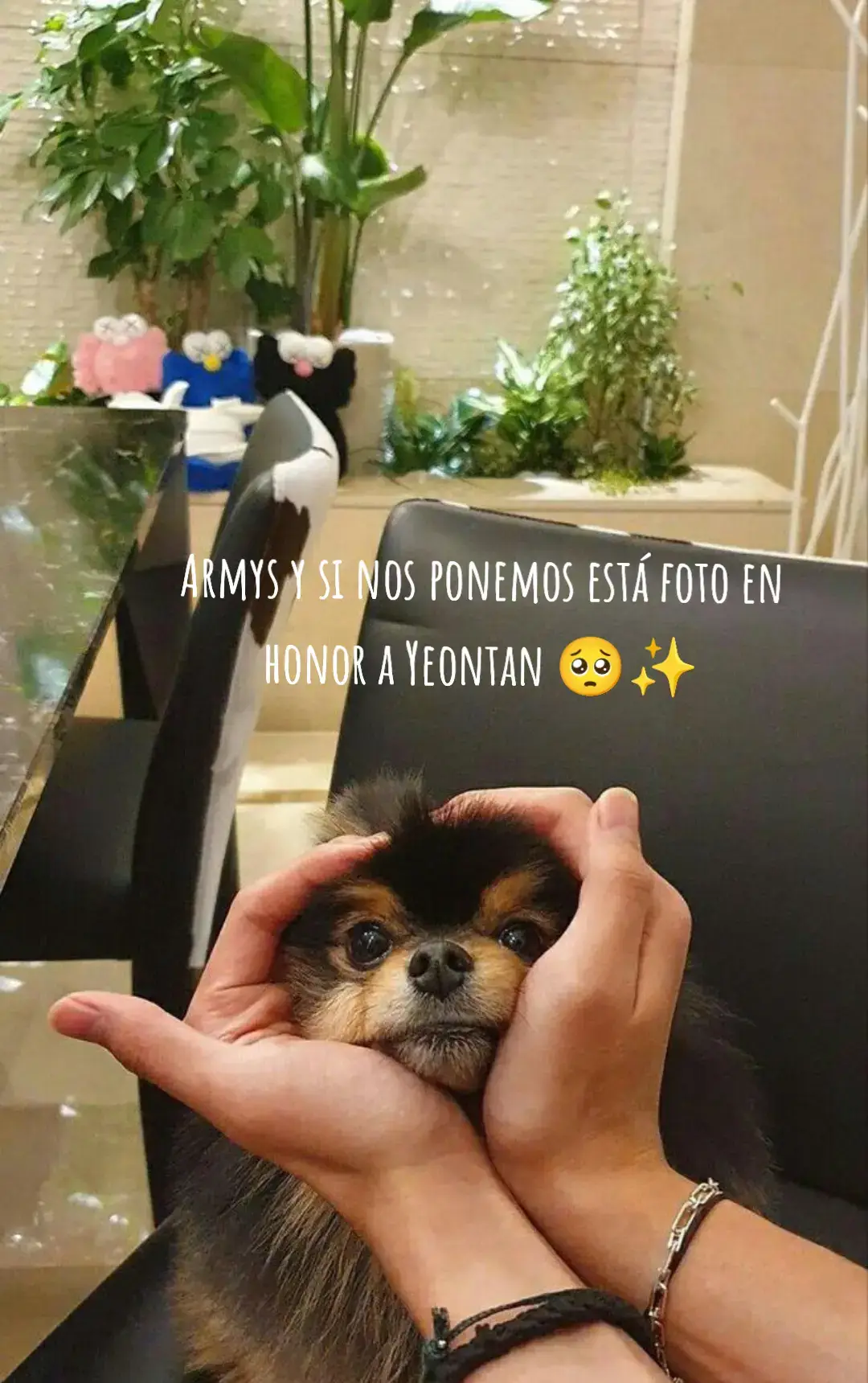 #contenido #viral#yeontan #thv #parati #kpop #armyforever myforever