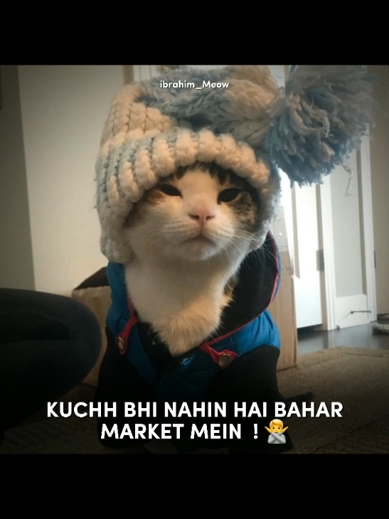 winter update 👍🏻😄 #fyppppppppppppppppppppppp #foryou #fyp #foryoupage #viral #viralvideo #capcut #ibrahim_meow #ibi #cats