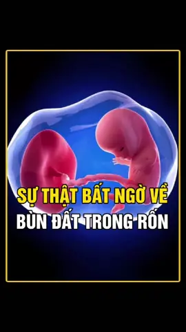 TẠI SAO 