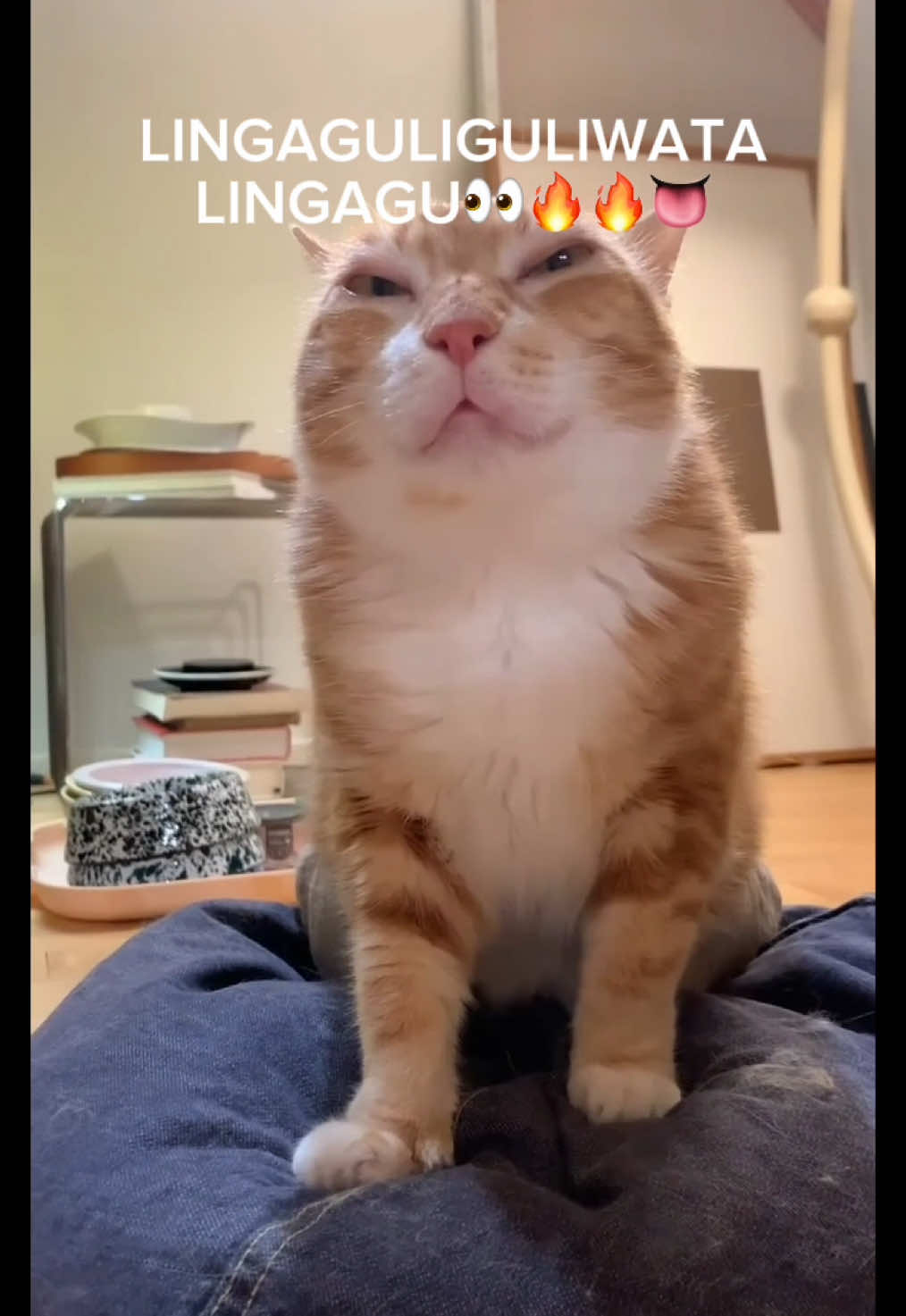 #linga #catmeme #meme #goofy #fyp #fy #fypシ゚viral 