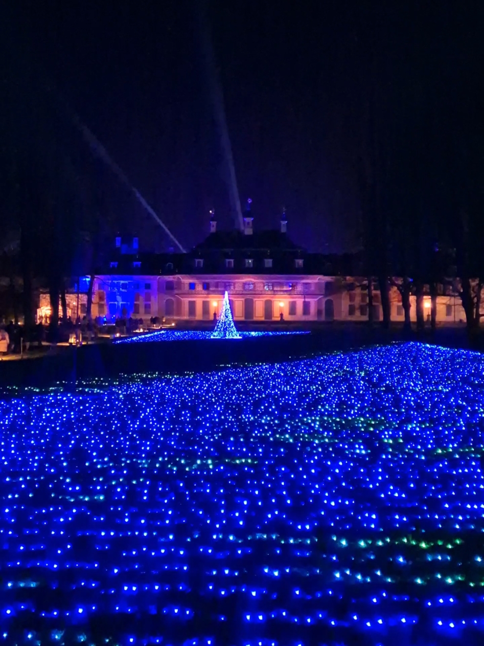 Christmas Garden Schloss Pillnitz 🌟 #ausflugtipp #schlosspillnitz #sachsen #christmas #christmasgarden #christmastiktok #weihnachten #pillnitz 