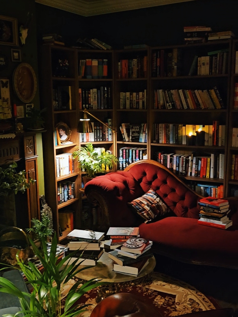 I wonder how much I've spent on books in my life time. I kind of don't want to know 😆 #book #books #BookTok #cosy #darkacademia #aesthetic #goth #homelibrary #library 