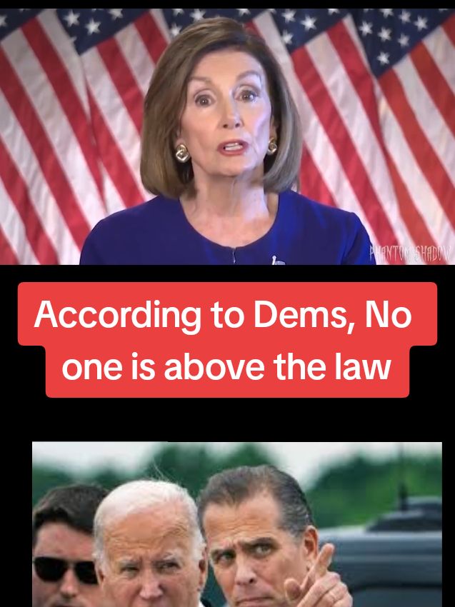 According to Dems, No one is above the LAW... Well...except if you're.... #joebiden   #HunterBiden #biden 