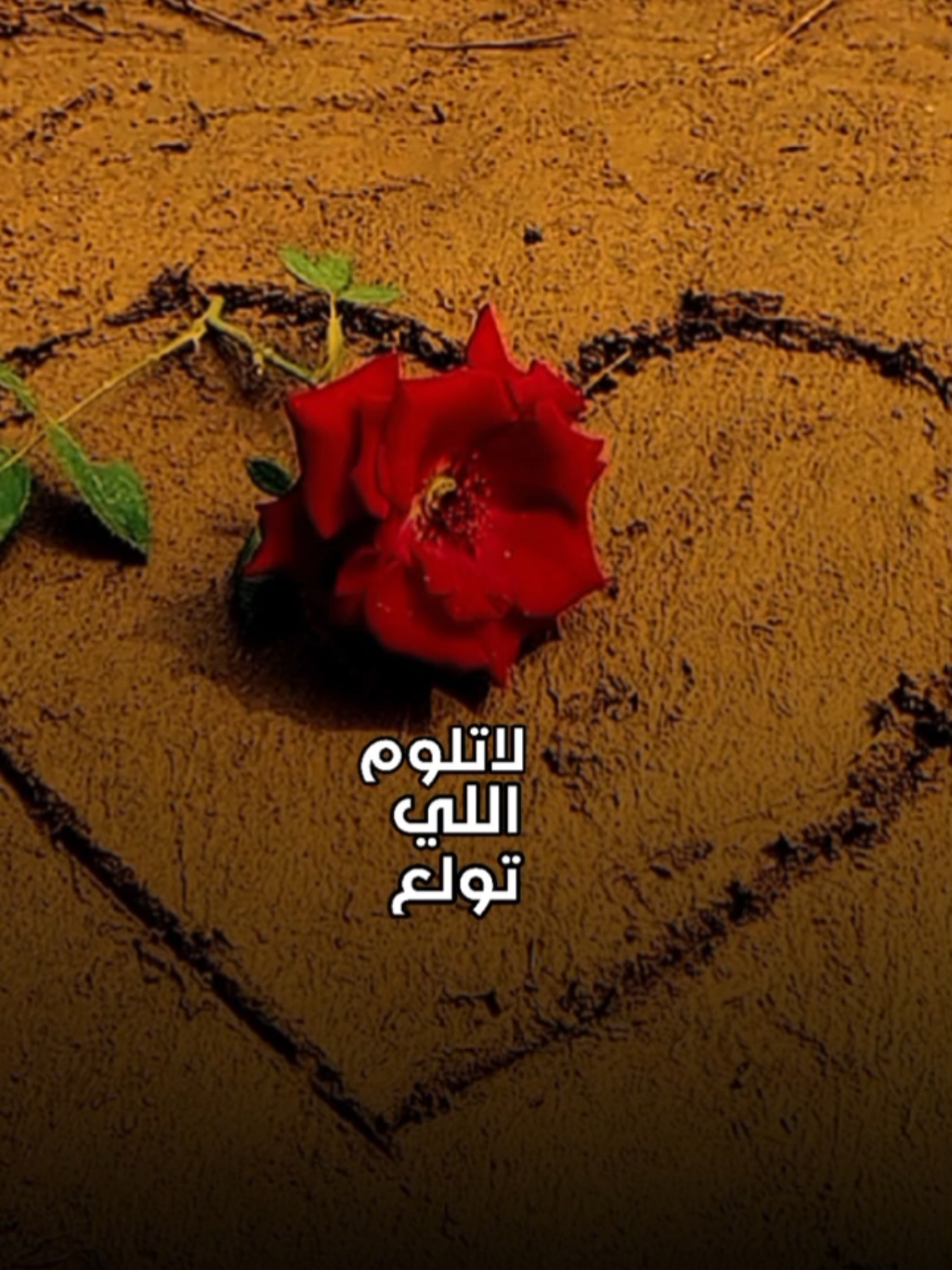 #اكتسحت_القلب_كله  #ابتسم_حظي #مشعل_الشراري #شيلات_جديده #شيلات_فخمة❤️ #تصميم_فيديوهات🎶🎤🎬 #viral #tiktok #trending #تصويري #lavendr81 #اكسبلور #CapCut 