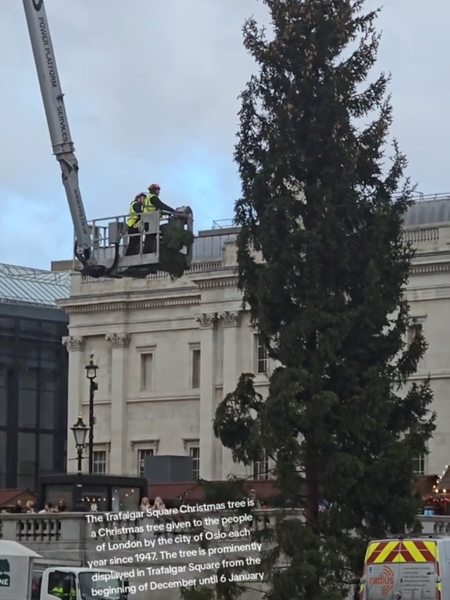 #kingsguards #london #trafalgarsquare #christmastree