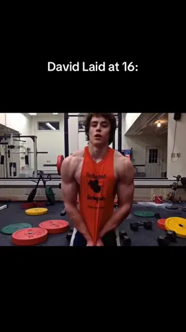 David Laid🔱 #gym #hardstyle #davidlaid_motivation #davidlaid #trentwins #motivation #david #wegogym #fyp #GymTok 