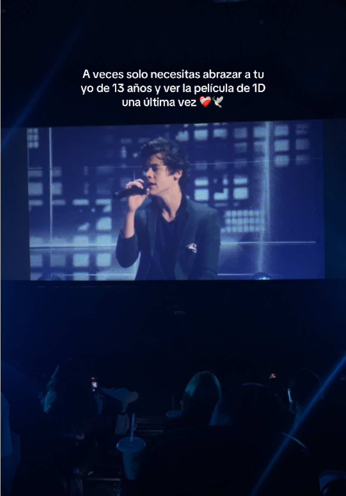 Una curita al corazon luego de tanto ❤️‍🩹 Gracias @La Tarima Club por este lindo homenaje 🫶🏻🕊️ #onedirection #thisisusonedirection #directioner #liampayne #harrystyles #zaynmalik #liampayne #louistomlinson #fangirl 