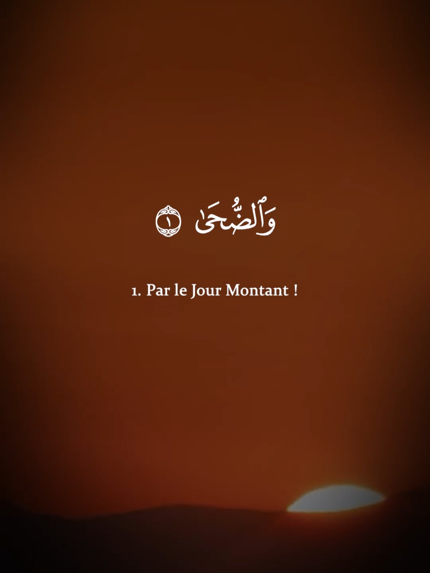 Sourate Ad Duha | Imam Feysal Muhammad #islam #recitationcoran #coran #sourate