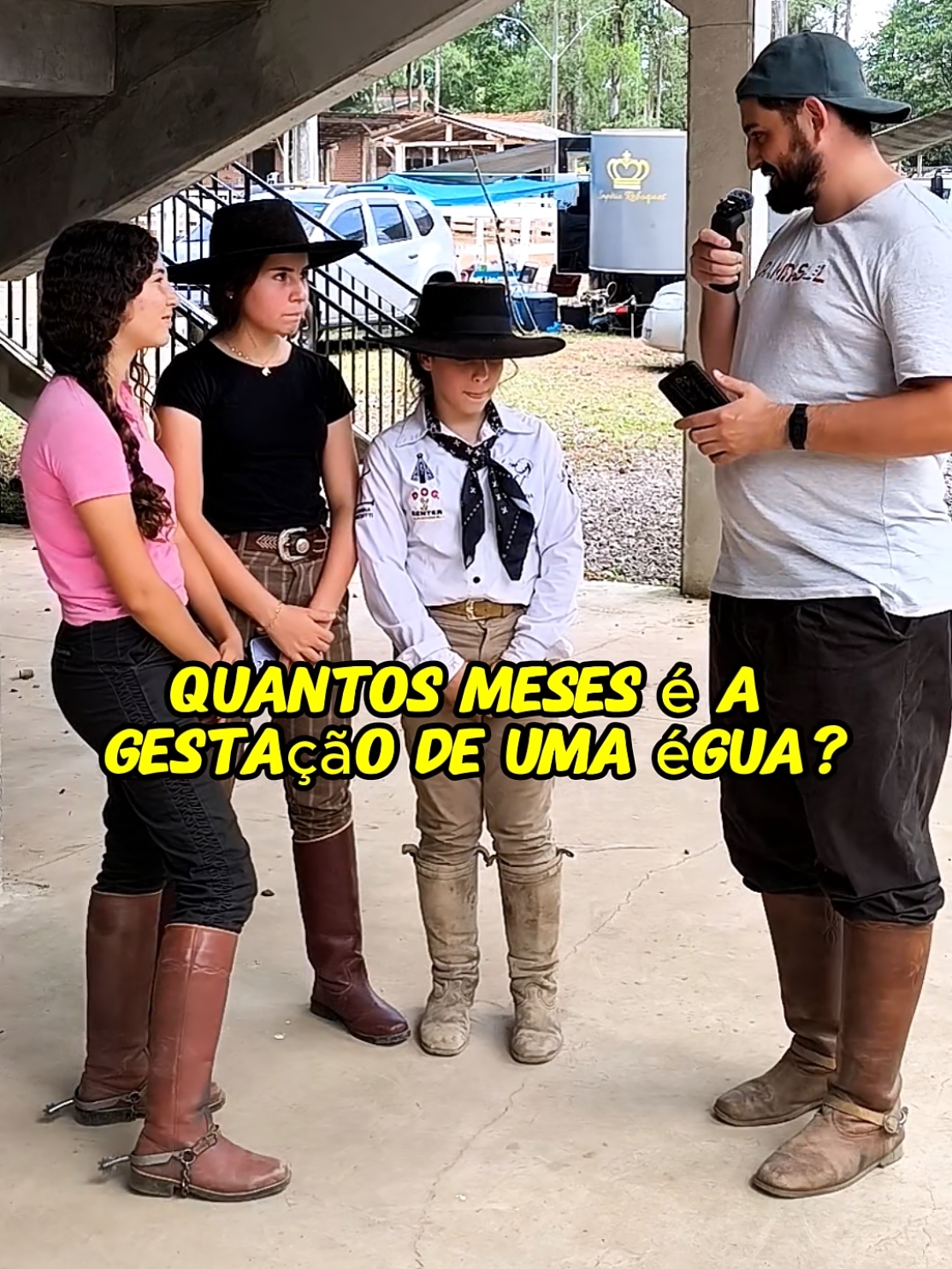 O Tempo de Gestação dos Animais #agro #fazenda #cavalo #rodeio #animais 