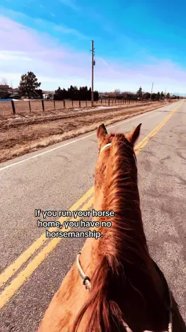 you immediately lose my respect #fyp #horses #horsemanship