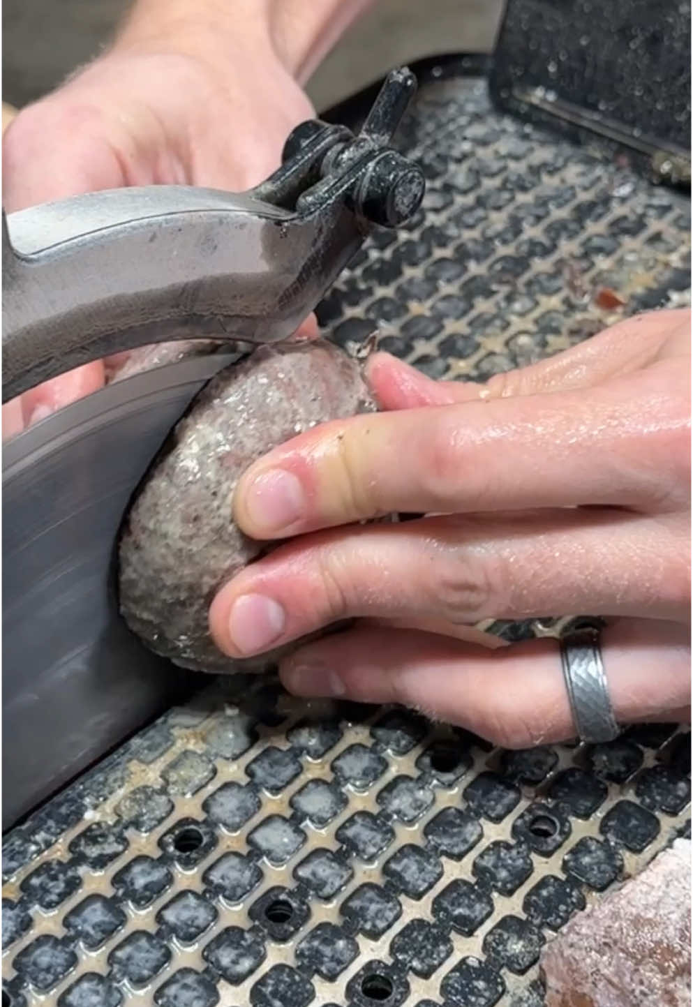 Unique geode cut open! #agatedad #geode 