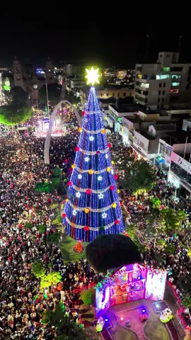 árbol navideño de Tacna, árbol de Tacna, el árbol más grande, paseo cívico Tacna, encendido del árbol de tacna #navidadentiktok #diciembre #arbolnavideño #navidadtacna #merycrismas🎅🏼 #navidad #tacna_peru🇵🇪 #navidadenfamilia 