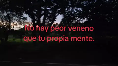 ...#textorojo #fyp #triste #paratiiiiiiiiiiiiiiiiiiiiiiiiiiiiiii 