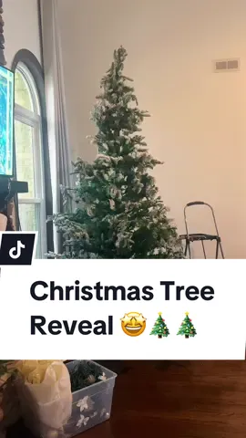 Who keeps the Xmas Tree up way past January 1st? 🙋🏻‍♀️❤️🎄#christmastreedecorating #christmastree #christmascountdown #december2nd 