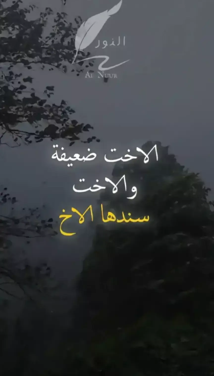 #اوصيكم بالأخوات 🧡