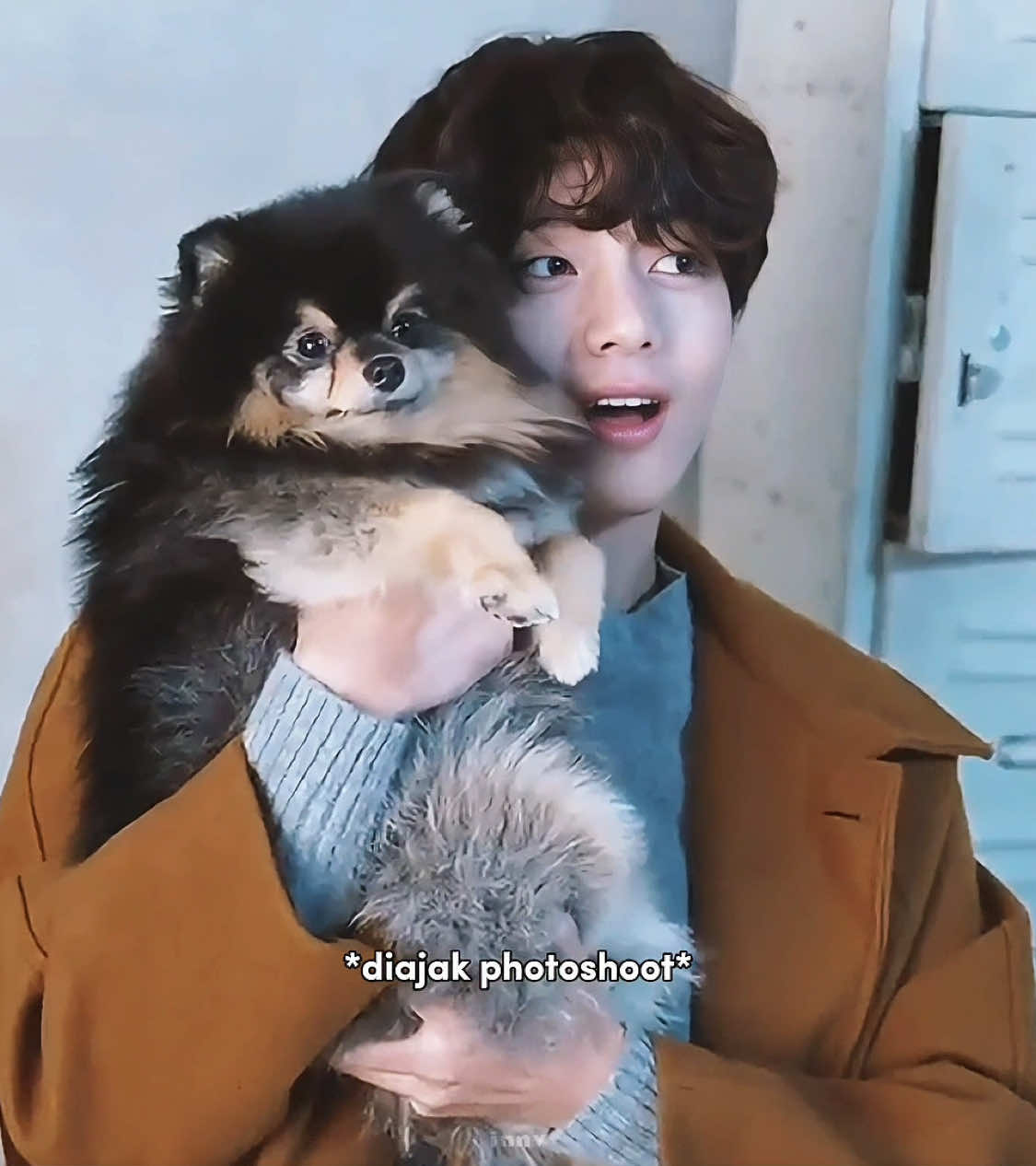 fly high our little fighter 🕊️🤍 sekarang udah ga sakit kan? terima kasih yeontan sudah bertahan selama 7 tahun memberi kebahagiaan untuk taehyung, bangtan, dan juga army 🫂🫶🏻 #taehyung #yeontan 