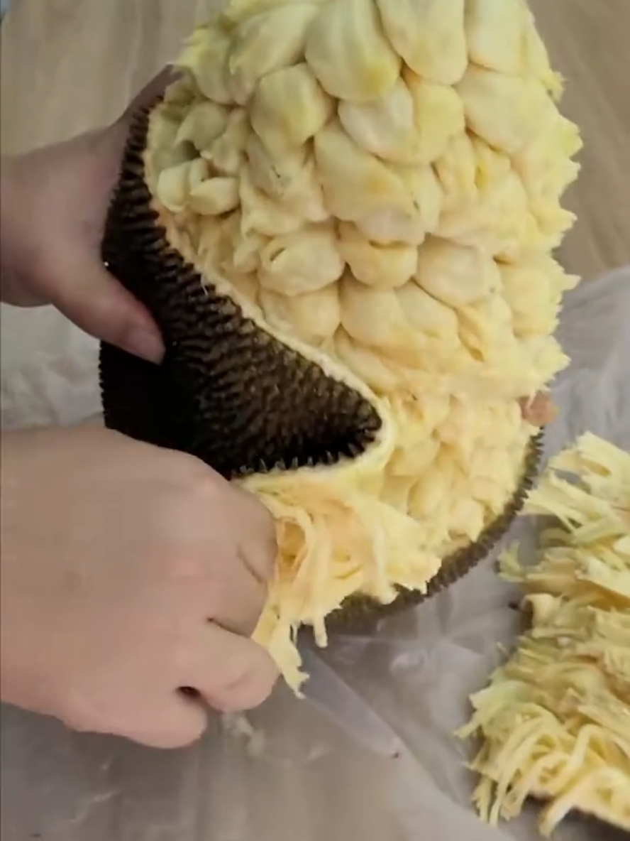 Como Abrir Jaca Mole Com Facilidade  #jaca #Fruta #fyp #saudável #praticidade #videoviral #videocriativo 