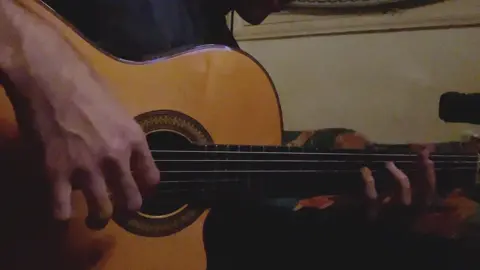 #1995 #guitar #solo #music #موسيقي #rumba #foryou #viral 