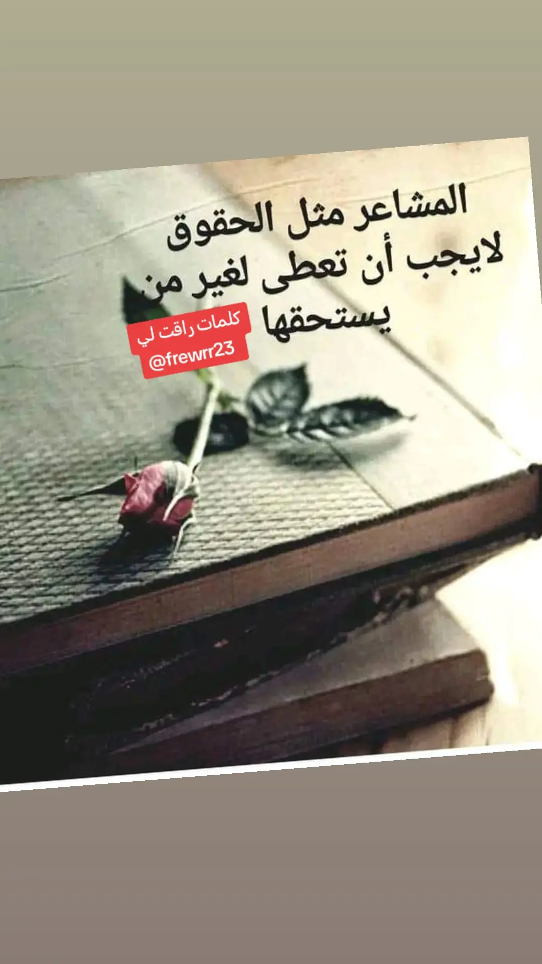 #ستوريات قلب إكسبلورر #هاني شاكر #ياقلبي_يا_طير_صغير_مكتوب_علينا_نكبر 