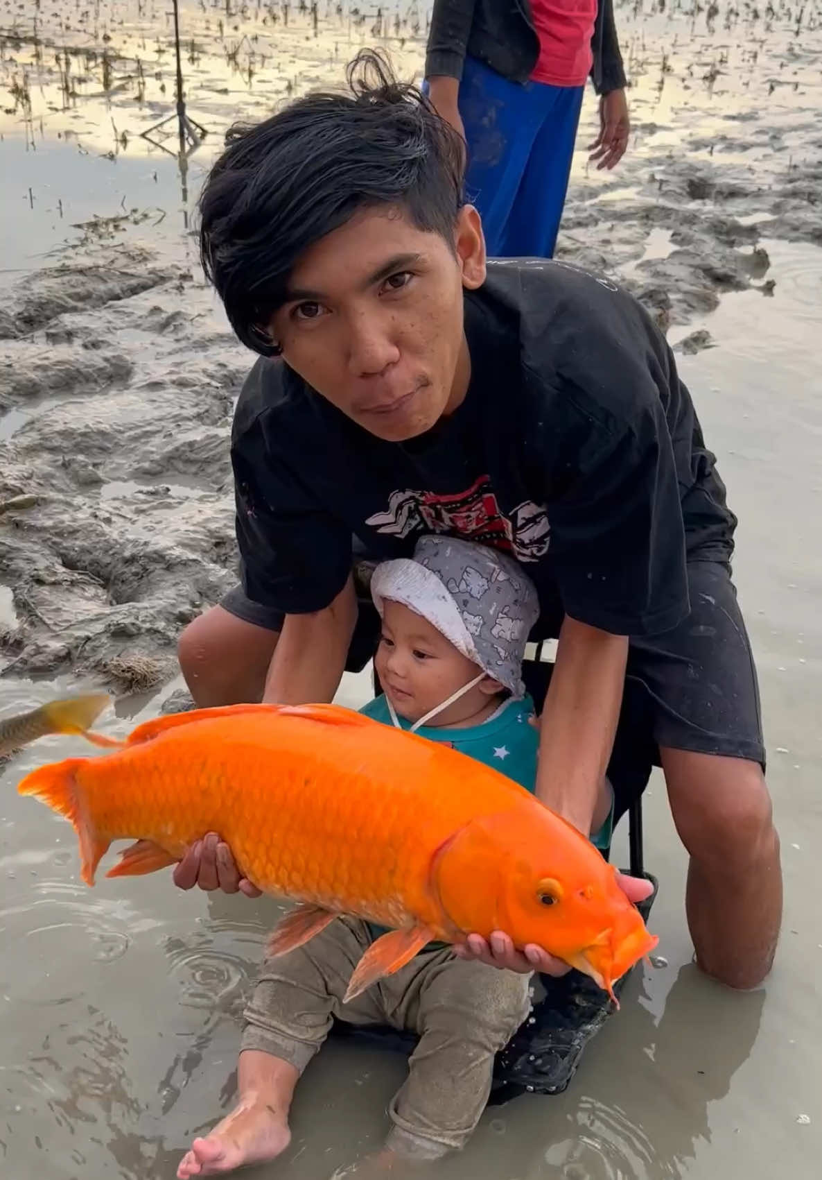 Panen ikan mas kolam sawah  #ikanmas #panenikan #nangkapikan 