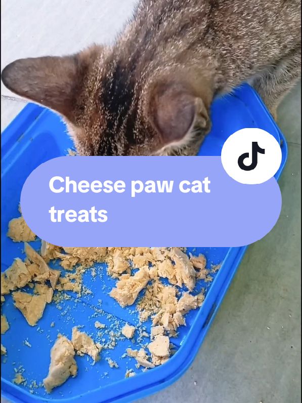 Cheese paw untuk kucing kesayangan, banyak khasiat tau. Sekali sekala kita belanja lah. #cheesepaw #cattreats #makanankucing #makanankucingmurah #janjibestdeal 