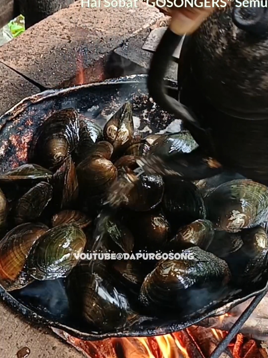 kerang kijing keyal-keyol #fyp #foryoupage #foryou #you #dapurgosong #dapurgosongofficial #chef #jurumasak #asmr #asmrmasak #asmrmakan #asmrcooking #cookingskills #asmrsound #eating #eatingshow #mukbang #mukbangindonesia #cookingfood #easycooking #masakanladang #madakankebun #masakanhutan #masakandesa #kulinerdesa #makanandesa #masakanpraktis #masakansimpel #simplecooking #resepmasakan #diet #recipes #indonesianfood #streetfood #alternativefood #survival #solosurvival #survivalfood #survivallife #survivalcooking #extremefood #extremecooking #healingcooking #healingfood #camping #campingfood #campingcooking #solocamping #naturallife #Lifestyle #sololife #villagelife #lifeforest #trending #viral #update #hariini #today #ai #artificialintelligence #dailyfood #dailycooking #wonosobo #diengwonosobo #wisatawonosobo #kulinerwonosobo #destinasiwonosobo #lenggerwonosobo #longervideos #game #bola #pubg #pubgmobile #mobilelegends #timnas #timnasindonesia 