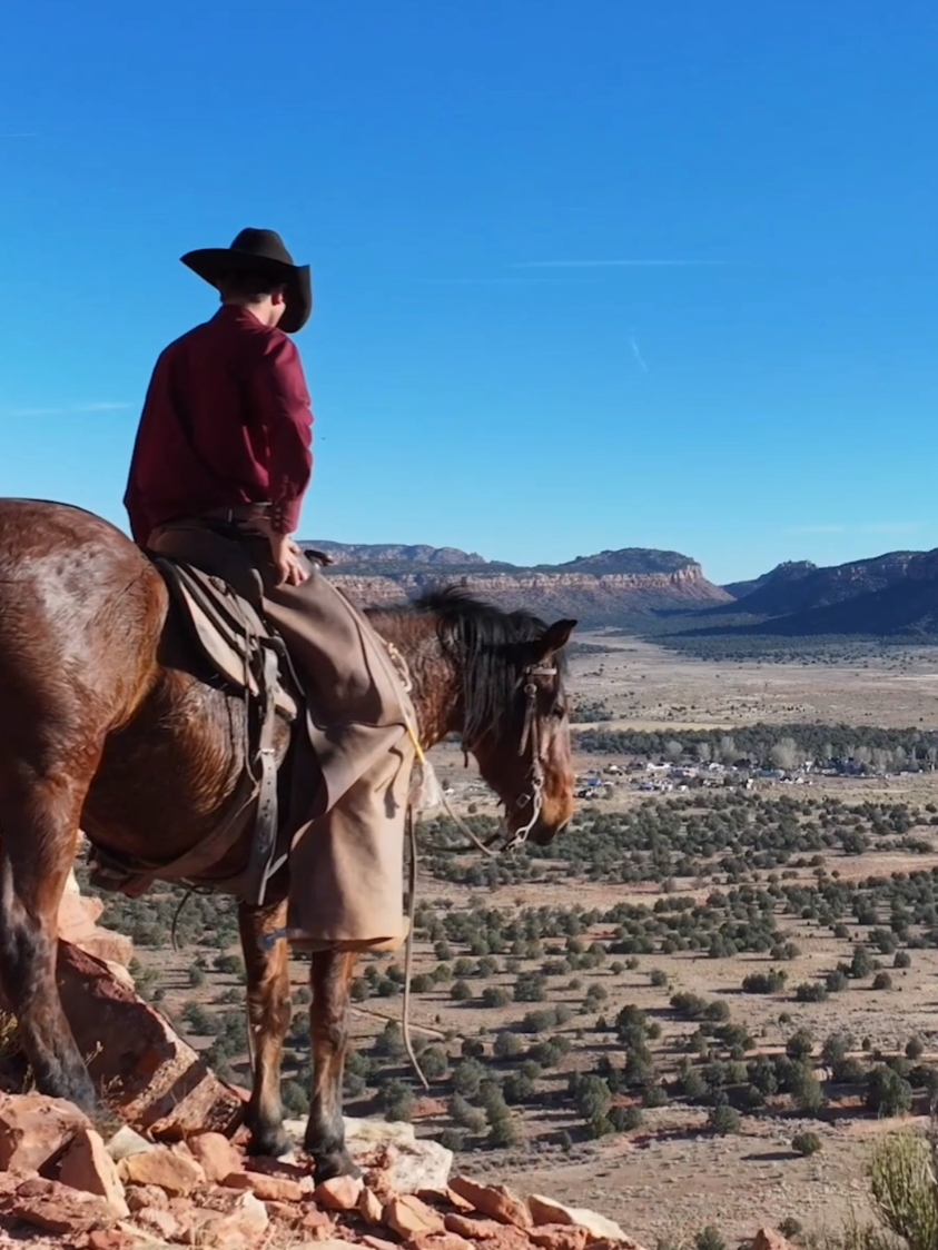 Always peaceful on the mountain   #cowboy #horses #view #mustanghorse #horsesoftiktok #mountain #horse #fyp 