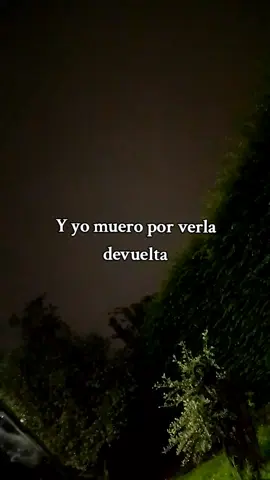 Ysy dando la nota📈 #fyp #ysya #trap #argentina #ysysmo #letra #parati #viral_video #paratii #lyric #album 