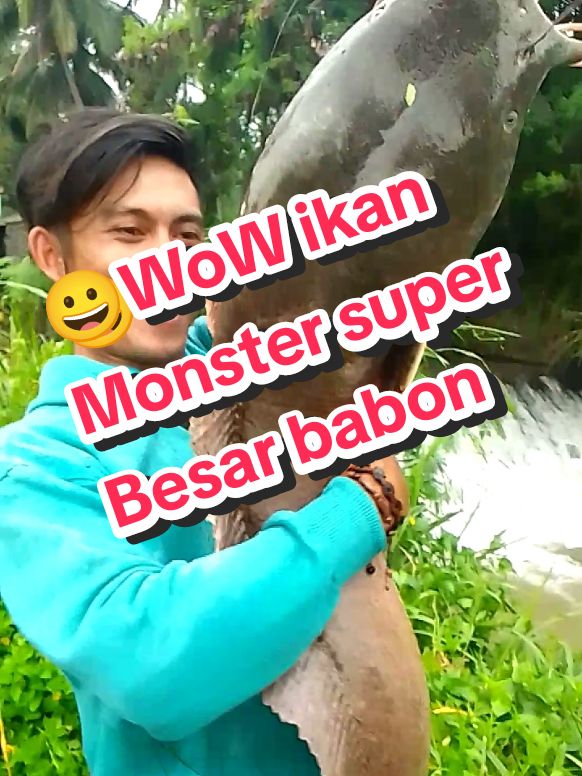 ikan lele jumbo besar, Alhamdulillah NuhunPisan Ya Allah 🤲🙏 ikan Lele super besar babon  #ikanlele #besar #ikanbesar #Lele #ikan master #predator #lelejumbo #mancingikan #mancing #mancingmania 