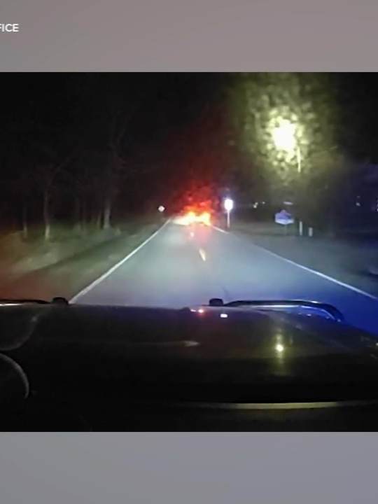 Southern Illinois sheriff's deputies stop a pregnant woman's runaway car from going into a lake. It happened early Monday morning in Williamson County, east of Carbondale. #news