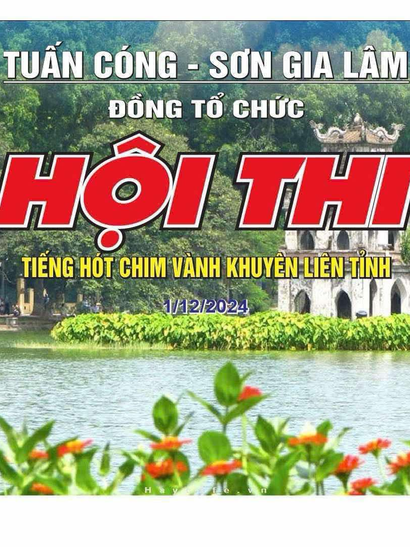 VÒNG CHUNG KẾT TUẤN CÓNG - SƠN GIA LÂM 1/12/2024  #fypシ゚viral #chimvanhkhuyen #TUANCONG   #trending #Longervideos #tuancong #longchimcaocap #chaomaodotbien  #Learnontiktok #master2023bytiktok #chimcanh #vip #chimcanh #BBNaija #DCGR #dcg