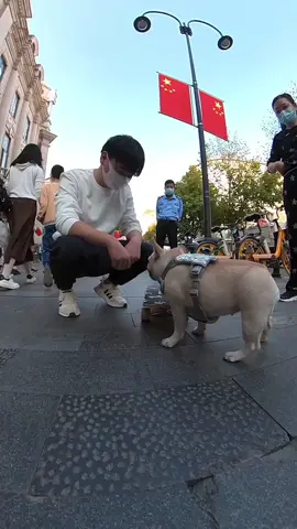 The dog skateboarded on the pedestrian street and met a handsome little brother. He even touched the dog shyly.#dog #skateboard #cooldog #skateboarddog #cutedog #cute #happydog 