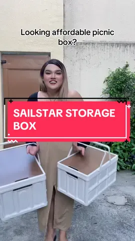 THIS IS FOR U PERFECT FOR PICNIC OR WHAT EVER U WANT TO DO😍#Outdoors #fyppppppppppppppppppppppp #fypシ゚viral #camping #tiktokfinds #foldable #box #storage 