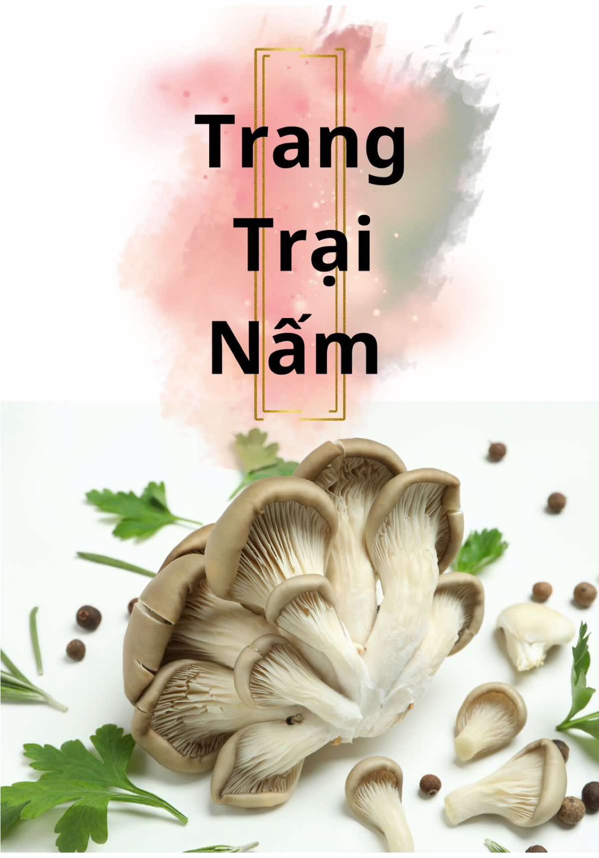 Trồng nấm theo quy mô lớn tại Thái Bình, để cây Nấm khỏe mạnh và phát triển tốt là 1 điều rất khó, mời các bạn cùng siêu thị OCOP khám phá cơ sở trồng#nấm #Thucphamsach #ocop