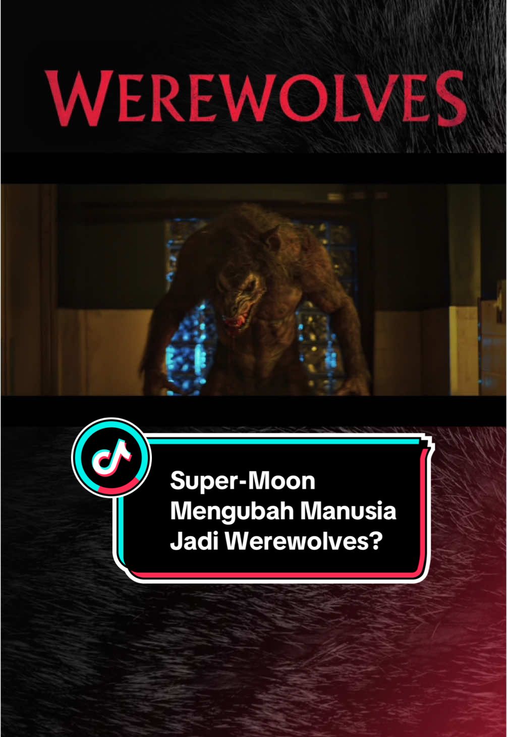 Super-Moon membuat manusia berubah menjadi werewolves! Terus gimana nasib keluarga Wesley Marshall (Frank Grillo), bisakah mereka menyelamatkan diri? 🐺 Yuk nonton Werewolves mulai 4 Desember 2024 di Cinema XXI! 🍿 #FixASIK #NontonASIKdiXXI #Werewolves #SemuaBisadiTiktok #tiktoktainment 