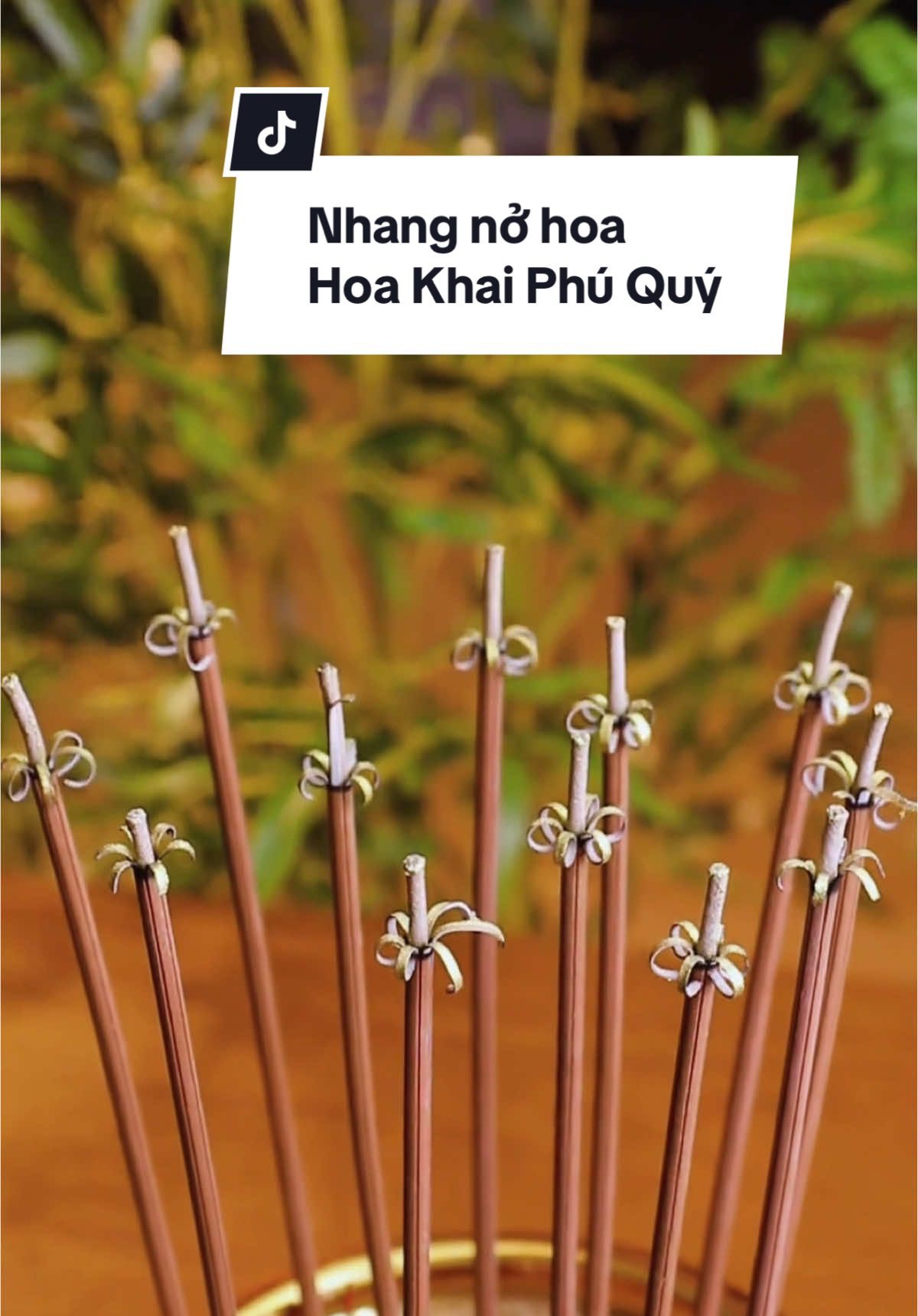 Nhang nở hoa nhang phú quý #nhangnohoa #nhangphuquy #nhangnohoa5canh #nhangtailoc #viral 