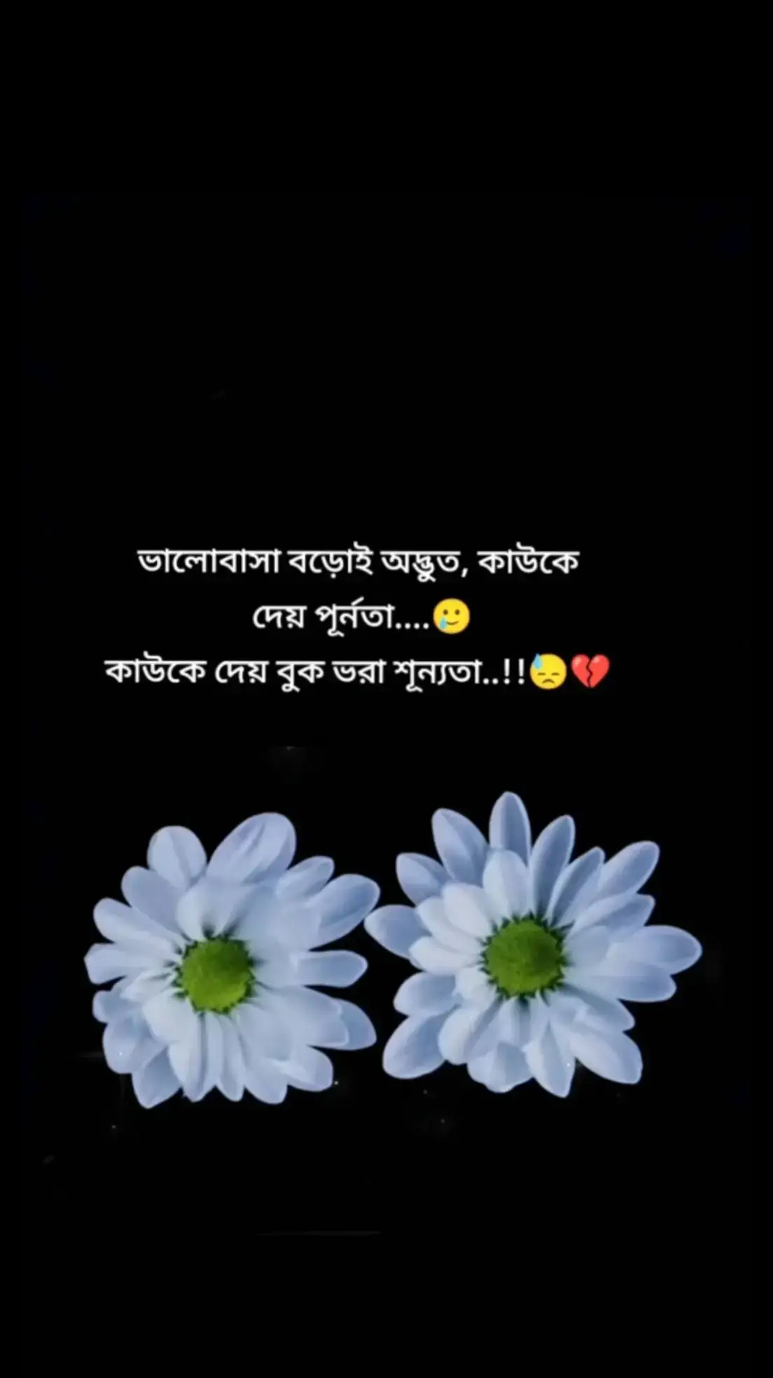 #fyp #foryou #foryoupage #viralvideo #trending #everyone #support #❤️❤️💞💞🌹🌹🌺🌺🥰🥰 