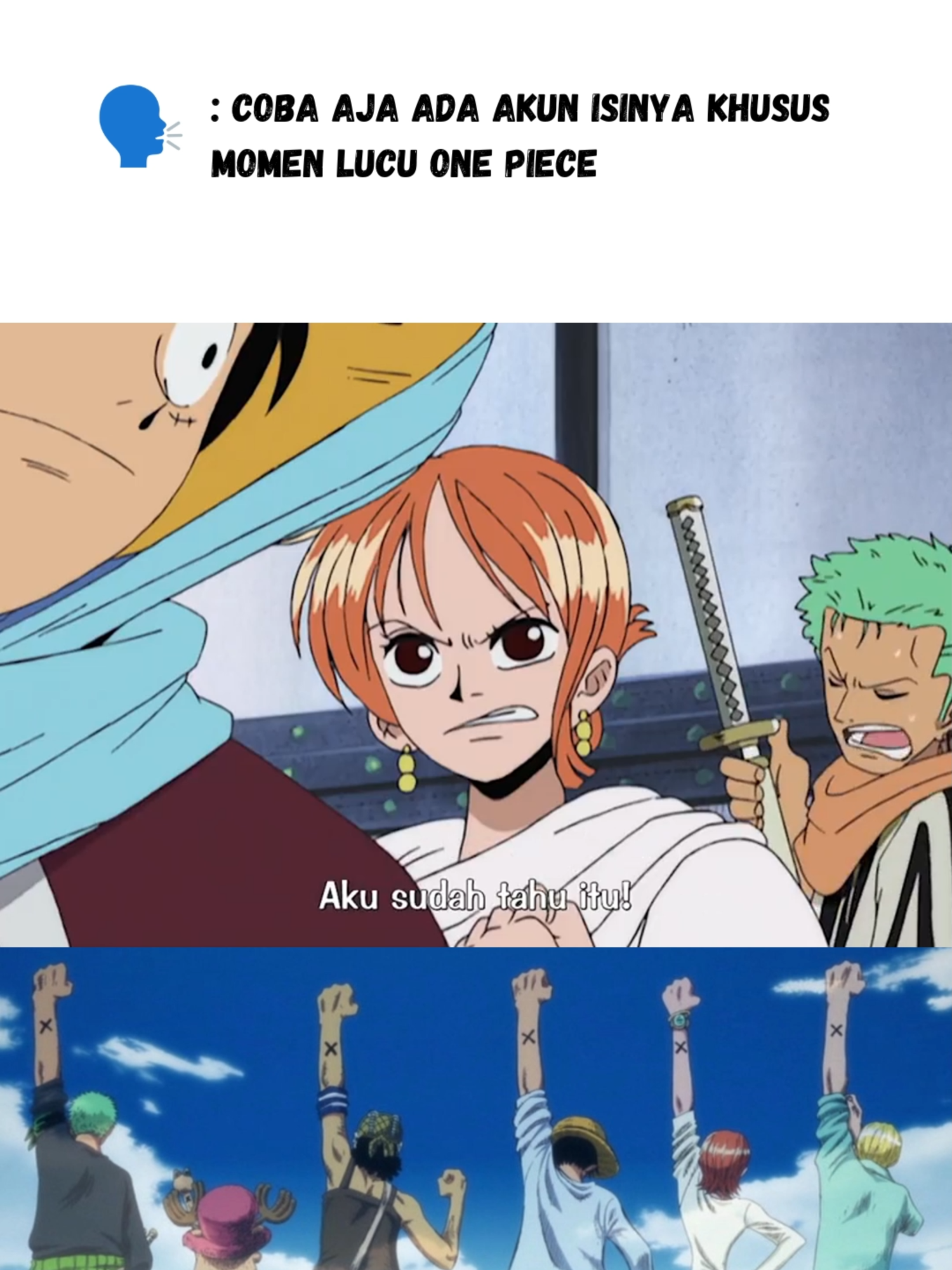 Dibilang bodoh sama Luffy adalah sesuatu yang... #onepiece #onepiecelucu #onepiecengakak #onepiecetiktok #anime