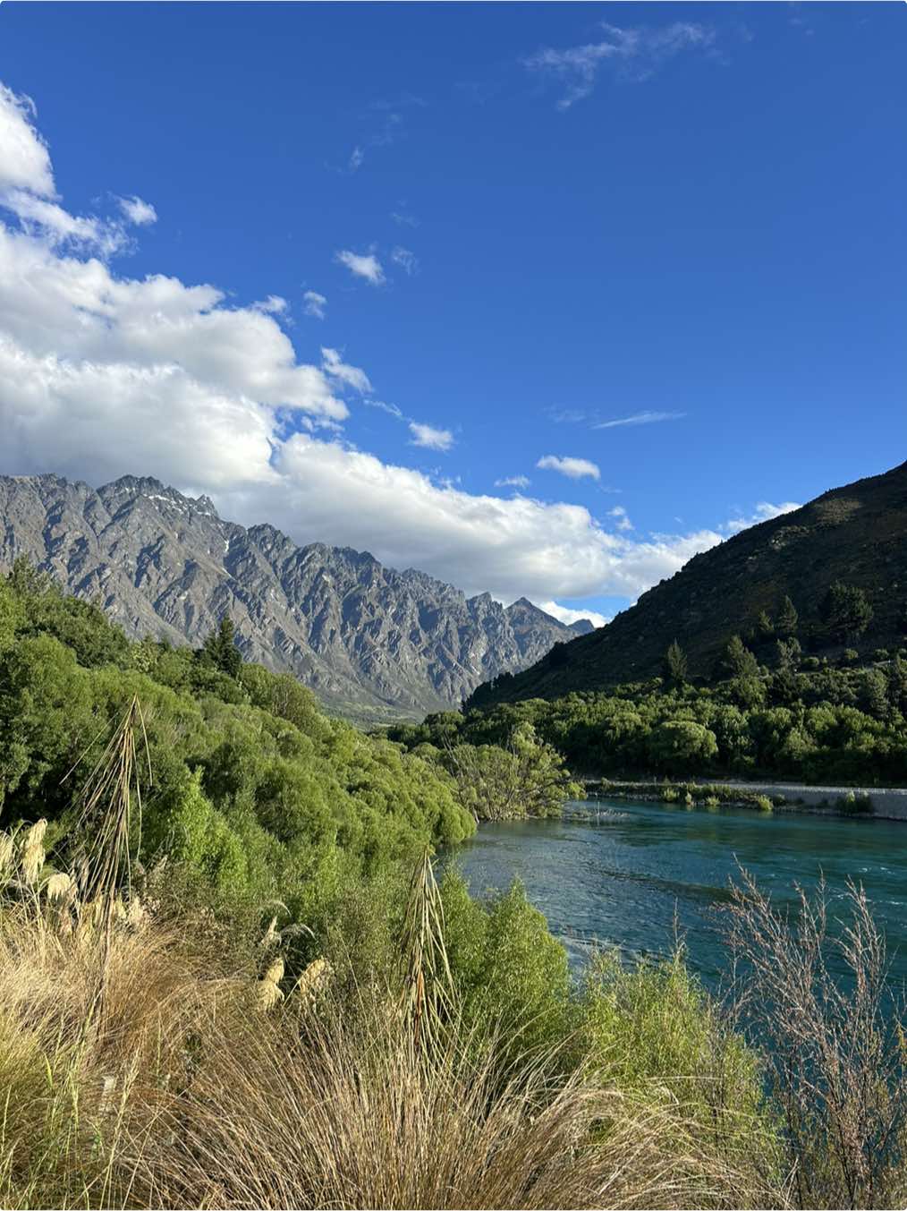 Summers here  #queenstown #newzealand #travel #Summer 