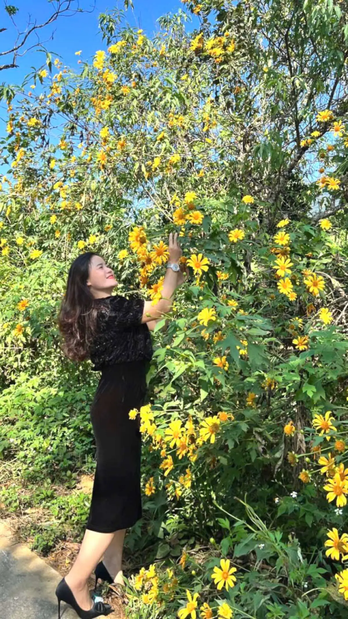 Chân trời đó ta luôn bình yên❤️