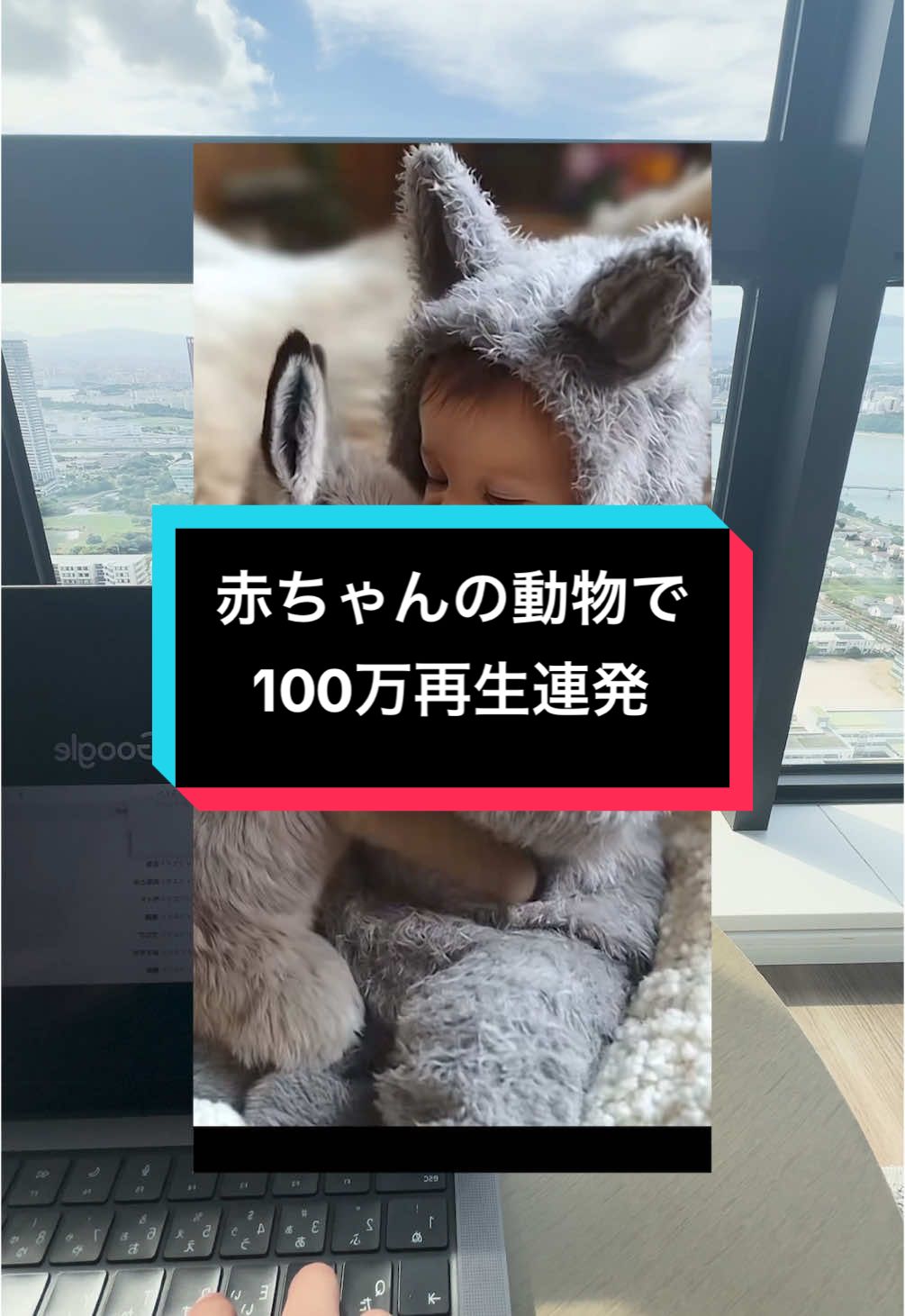 AIで簡単に作れるのに100万再生連発のバズりまくり🔥 #赤ちゃんと動物 #かわいい #canva #klingai  #ai動画 #TikTok収益化 #fortunamaster_oficial 