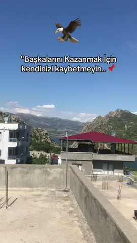 S T O R L I K Video bıraktım❤️‍🩹☝️ #kesvet #kürçesözler #raconsözler #birumutturyaşamak #fyp🖤🦅 