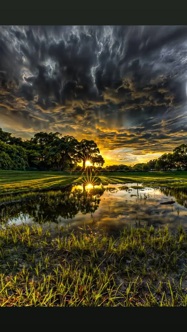 ចម្រៀងខ្មែរ #ពិរោះណាស់🌾 #សូរិយា 