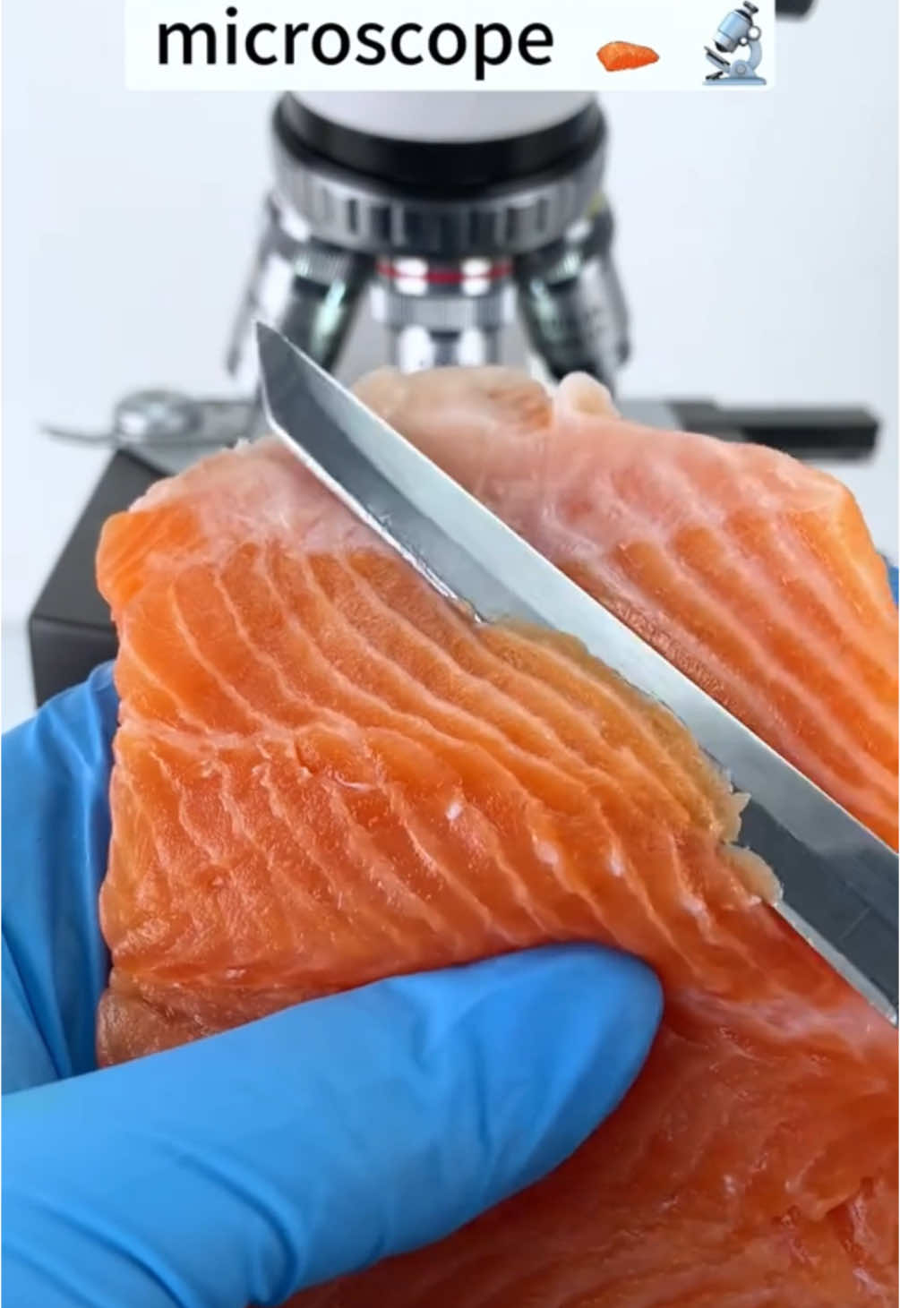 Raw salmon magnified 400 times… I will never buy a microscope again! 🐟🤯🧐 With tiny.world.lens #fyp #foryou #salmon #microscope #magnified #foodporn