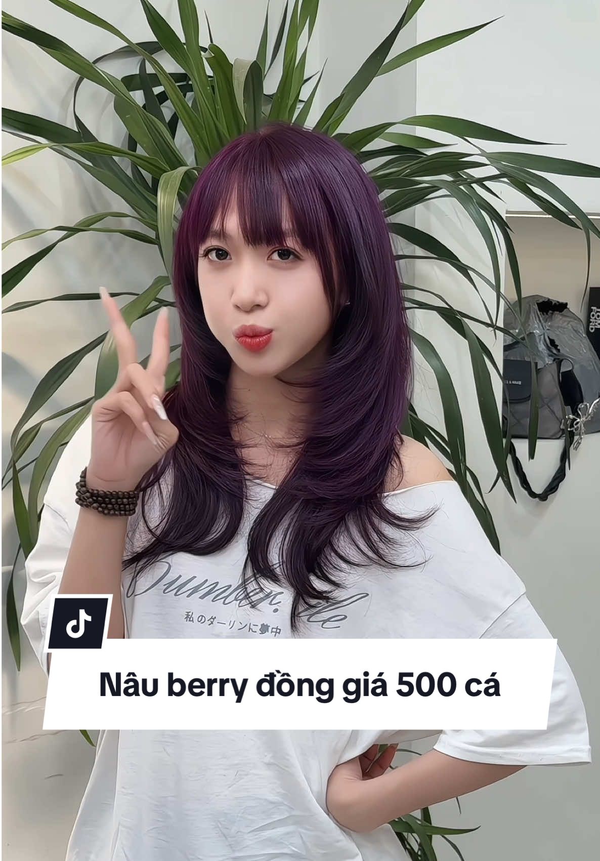 Nhuộm nâu berry đồng giá 500k tại silver . Noel tới zui. Đi lm đẹp thui ạ #silverhair #light #nâuchoco #balayage 